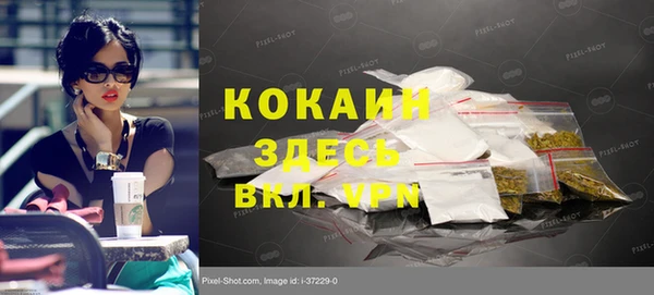 индика Балахна