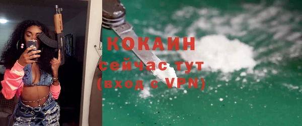 индика Балахна