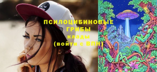 индика Балахна