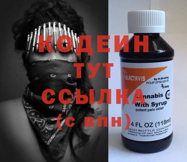 индика Балахна