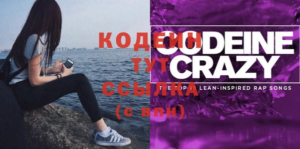 индика Балахна