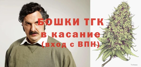 индика Балахна