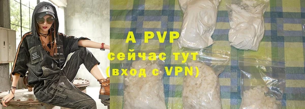 индика Балахна