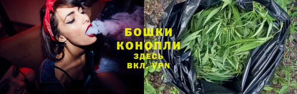 индика Балахна