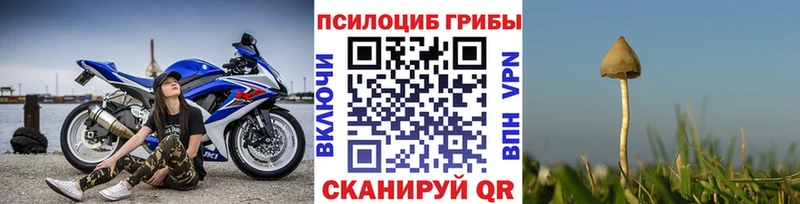 Купить  Лесозаводск  Галлюциногенные грибы прущие грибы 